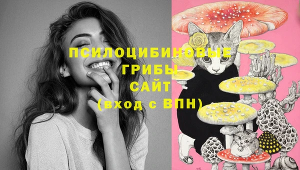 индика Абдулино