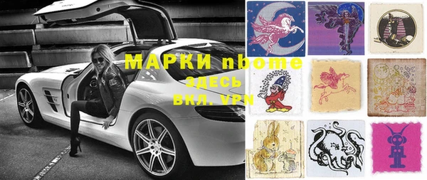 стафф Алзамай