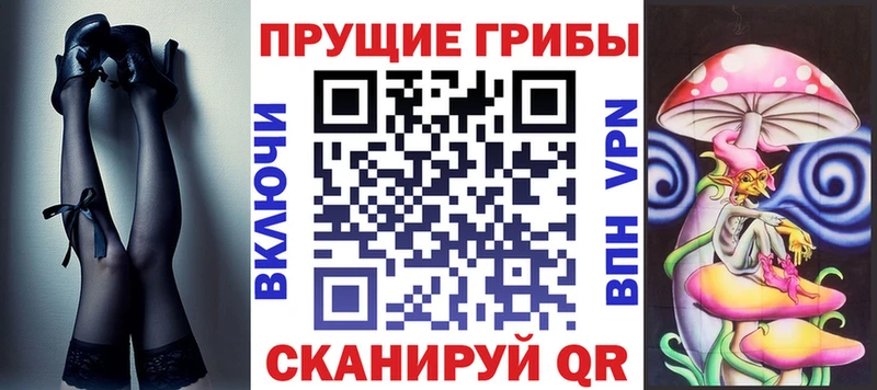 купить  цена  кракен ТОР  Галлюциногенные грибы MAGIC MUSHROOMS  Камень-на-Оби 